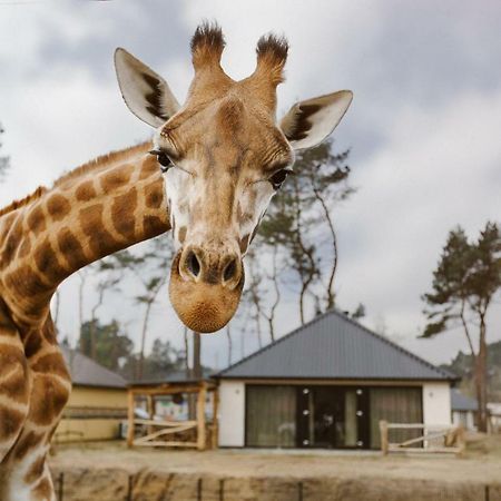 Safari Resort Beekse Bergen 希尔瓦伦比克 外观 照片