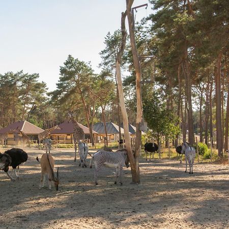 Safari Resort Beekse Bergen 希尔瓦伦比克 外观 照片