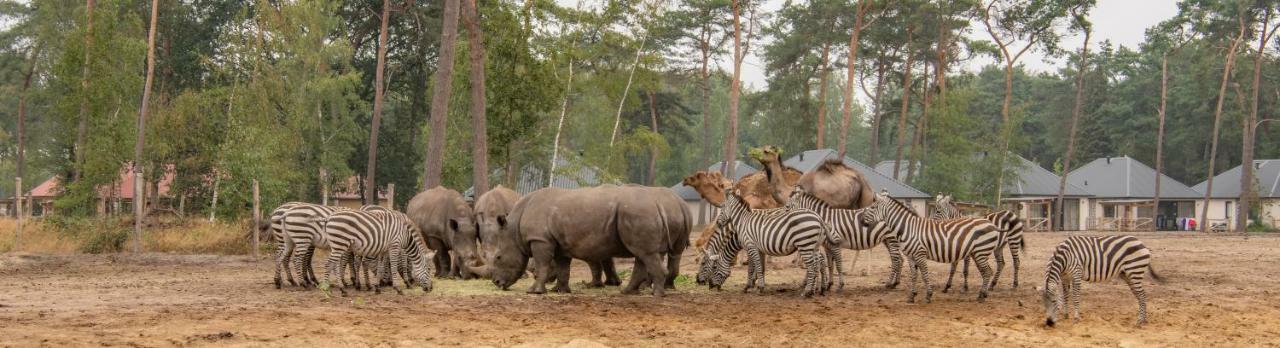 Safari Resort Beekse Bergen 希尔瓦伦比克 外观 照片