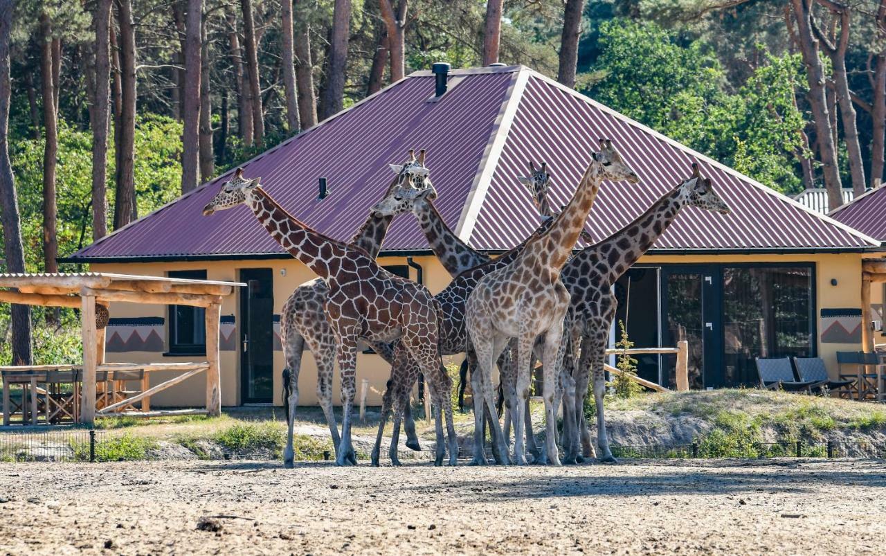 Safari Resort Beekse Bergen 希尔瓦伦比克 外观 照片