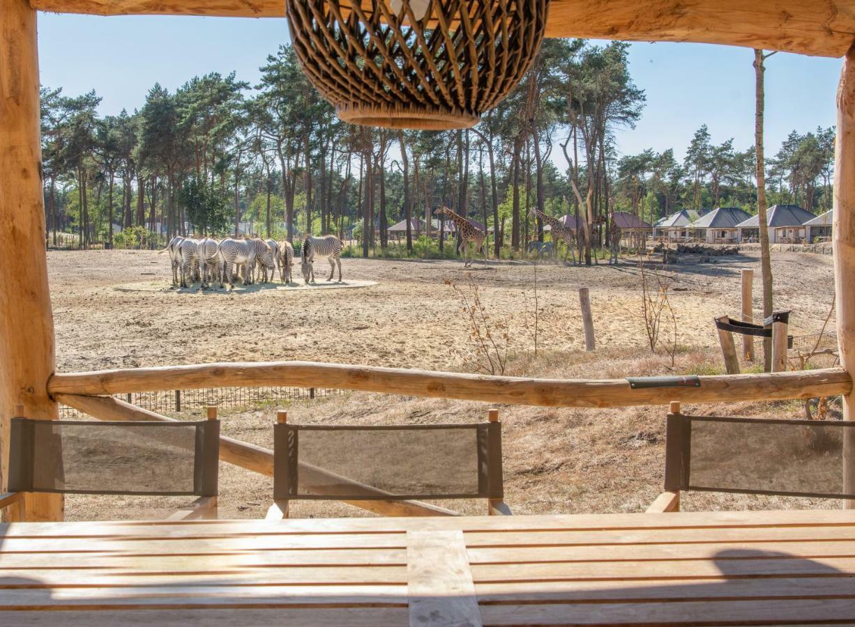 Safari Resort Beekse Bergen 希尔瓦伦比克 外观 照片