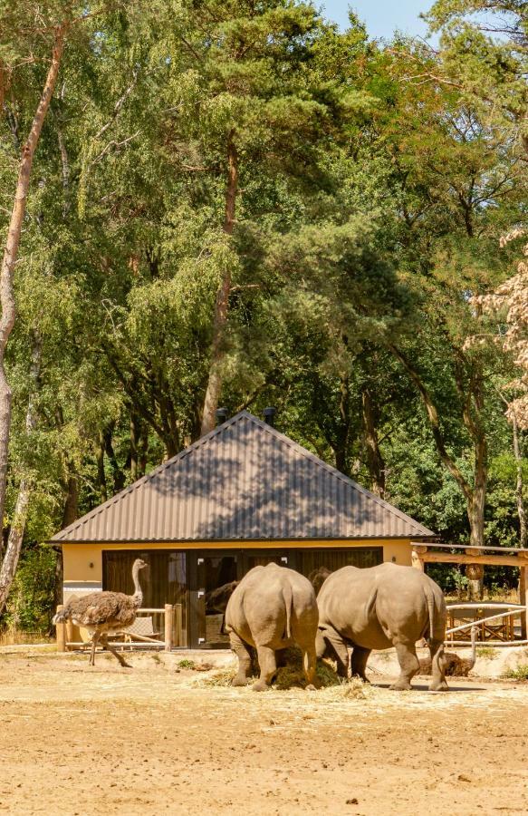 Safari Resort Beekse Bergen 希尔瓦伦比克 外观 照片