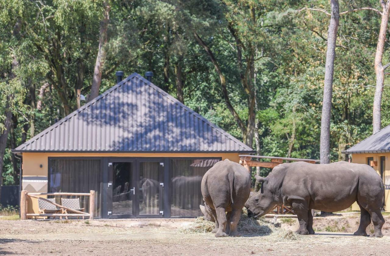 Safari Resort Beekse Bergen 希尔瓦伦比克 外观 照片