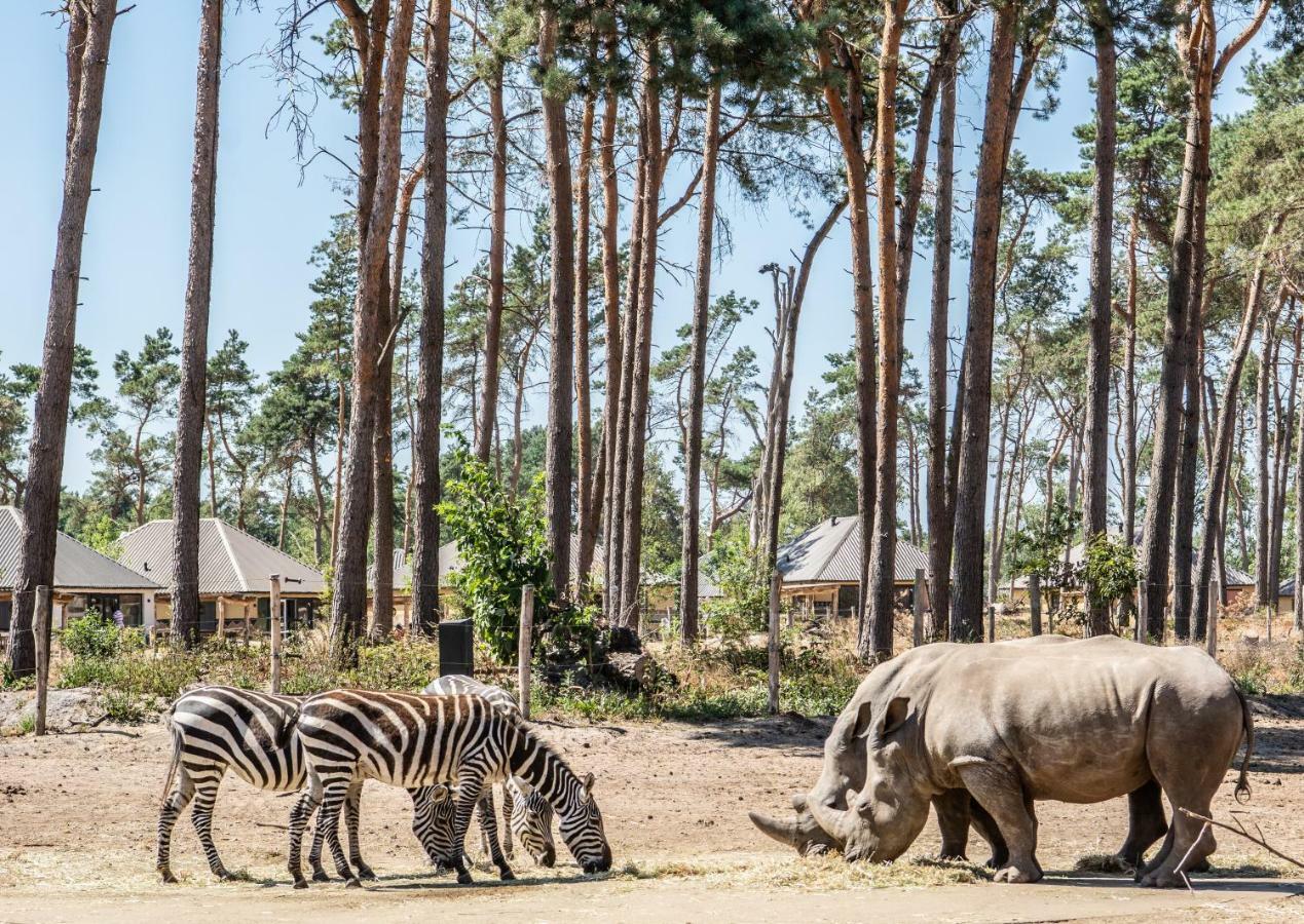Safari Resort Beekse Bergen 希尔瓦伦比克 外观 照片