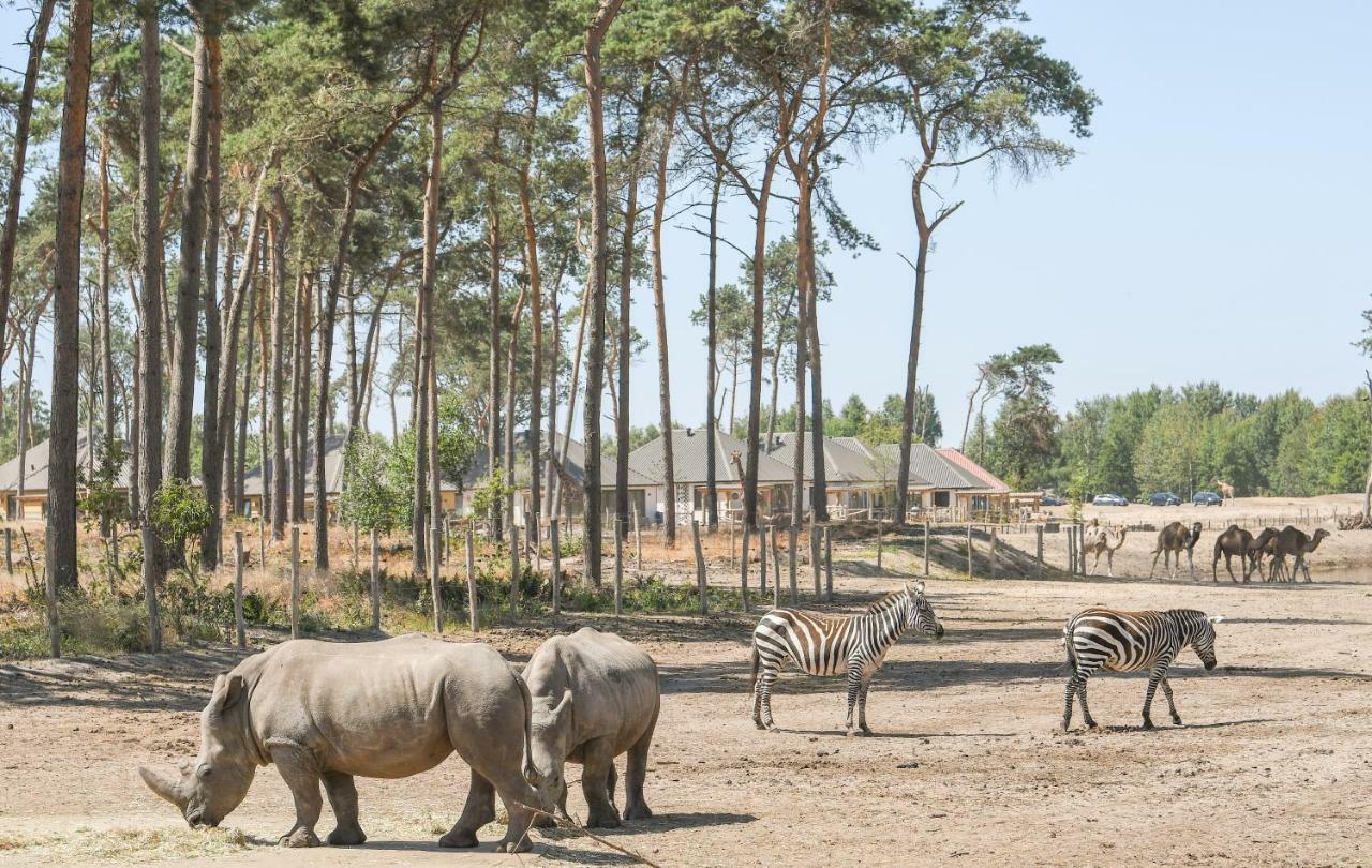 Safari Resort Beekse Bergen 希尔瓦伦比克 外观 照片